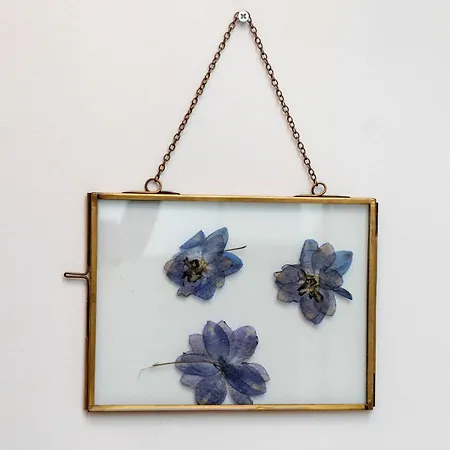 Alma & Nina 아파트