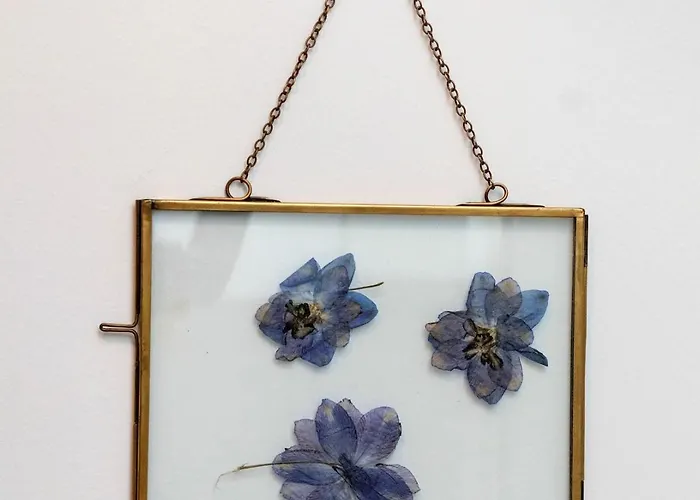 Alma & Nina Appartement